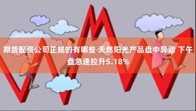 期货配资公司正规的有哪些 天然阳光产品盘中异动 下午盘急速拉升5.18%