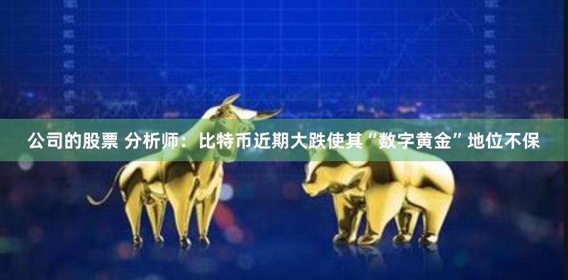 公司的股票 分析师：比特币近期大跌使其“数字黄金”地位不保