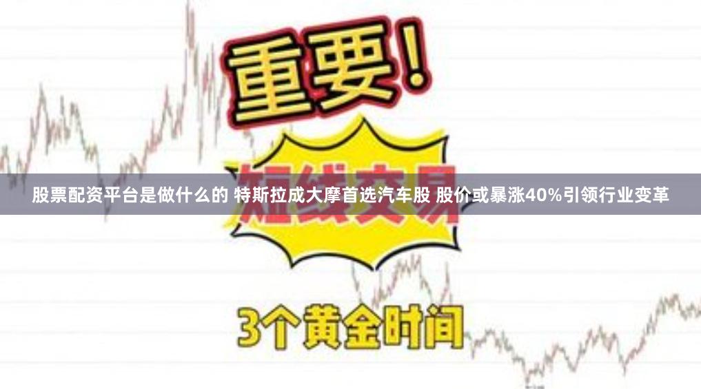 股票配资平台是做什么的 特斯拉成大摩首选汽车股 股价或暴涨40%引领行业变革