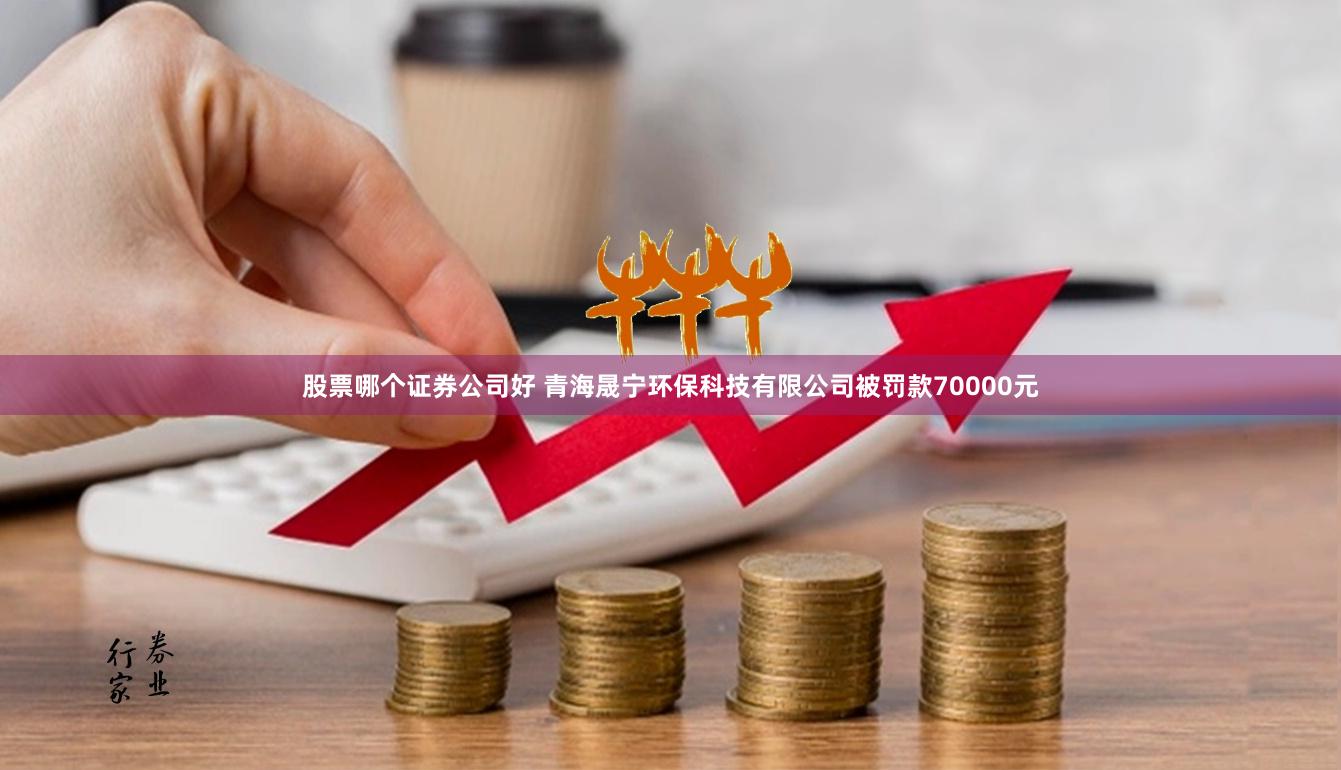 股票哪个证券公司好 青海晟宁环保科技有限公司被罚款70000元